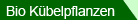 Mediterrane Bio Kbelpflanzen