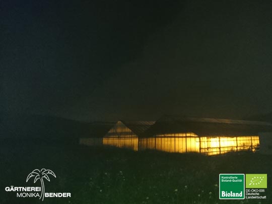 Gärtnerei Bender im Winter bei Nacht