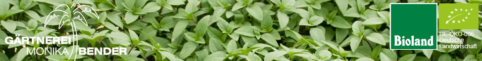 Gärtnerei Monika Bender