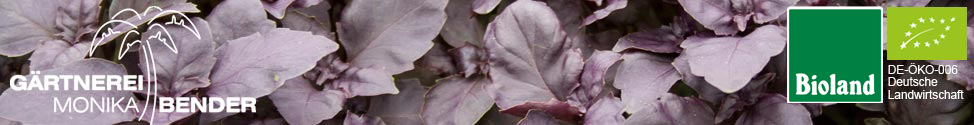 Gärtnerei Monika Bender
