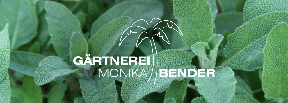 Newsletter der Gärtnerei Monika Bender