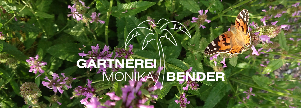Newsletter der Gärtnerei Monika Bender