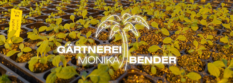 Bioland Gärtnerei Monika Bender, Logo