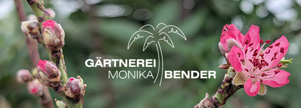Bioland Gärtnerei Monika Bender, Logo